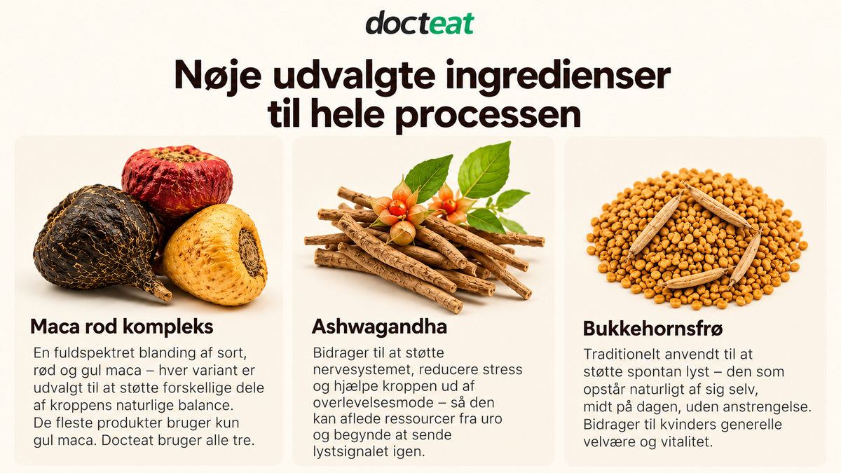 Docteat Maca Rod Kompleks
